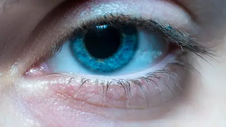 2d619a5f37244739bde9092581d5a226805 13729000528 48545.webp